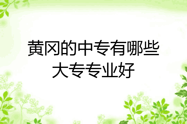 黄冈的中专有哪些大专专业好