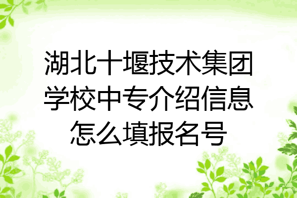 湖北十堰技术集团学校中专介绍信息怎么填报名号