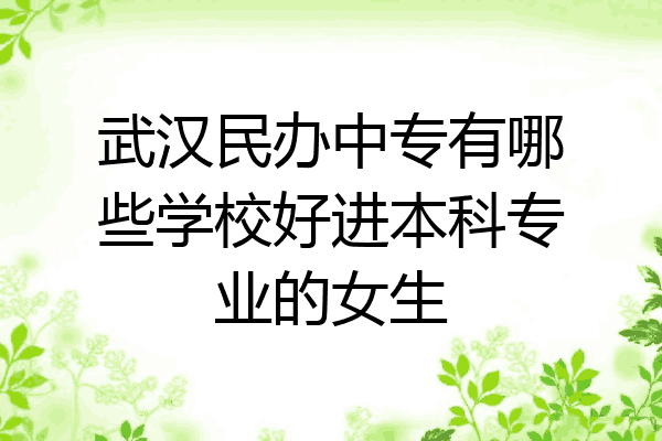 武汉民办中专有哪些学校好进本科专业的女生