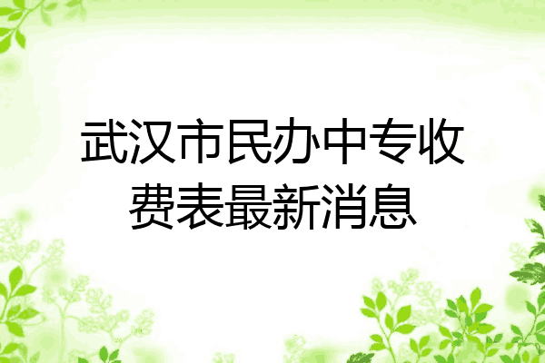 武汉市民办中专收费表最新消息