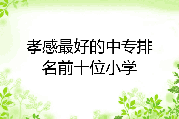 孝感最好的中专排名前十位小学