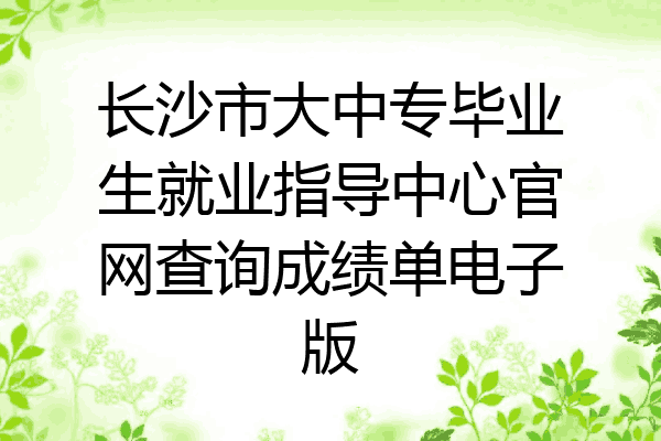 长沙市大中专毕业生就业指导中心官网查询成绩单电子版