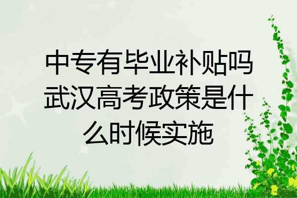 中专有毕业补贴吗武汉高考政策是什么时候实施