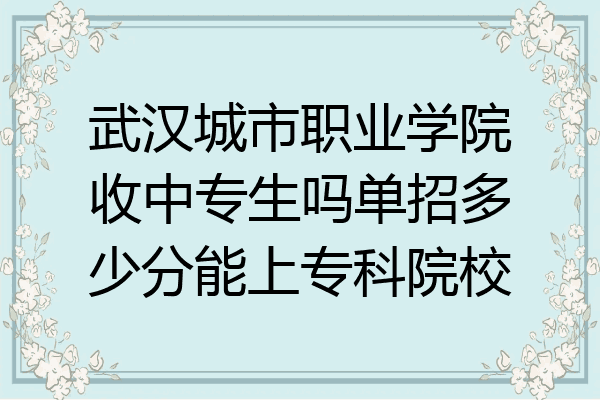 武汉城市职业学院收中专生吗单招多少分能上专科院校