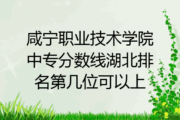 咸宁职业技术学院中专分数线湖北排名第几位可以上