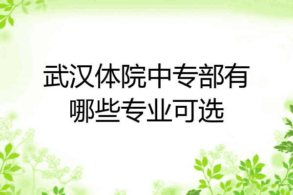 武汉体院中专部有哪些专业可选