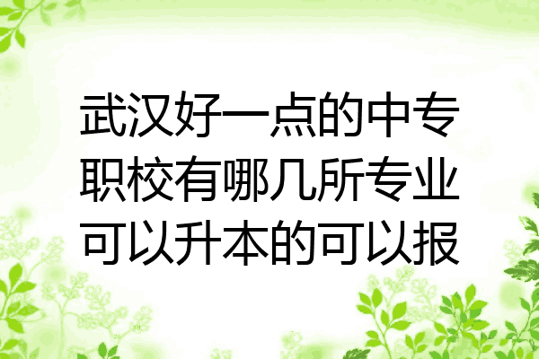 武汉好一点的中专职校有哪几所专业可以升本的可以报