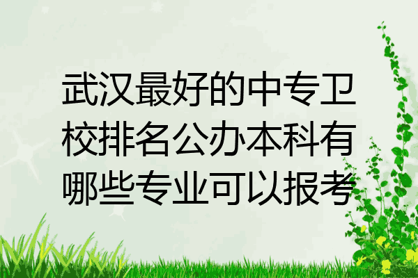 武汉最好的中专卫校排名公办本科有哪些专业可以报考