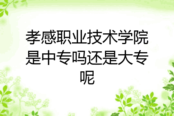 孝感职业技术学院是中专吗还是大专呢