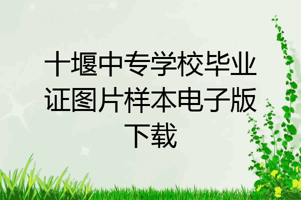 十堰中专学校毕业证图片样本电子版下载