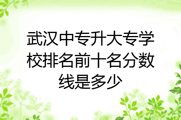 武汉中专升大专学校排名前十名分数线是多少