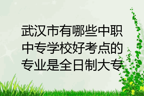 武汉市有哪些中职中专学校好考点的专业是全日制大专