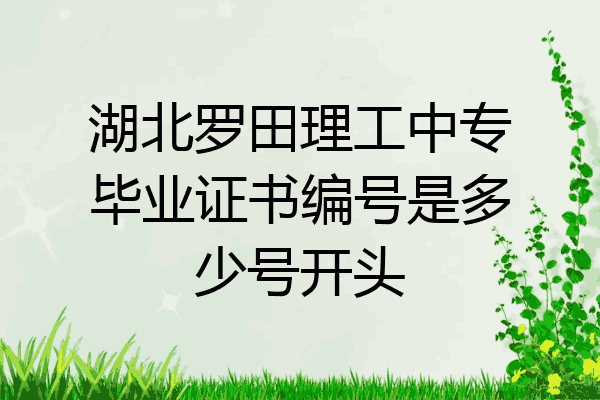 湖北罗田理工中专毕业证书编号是多少号开头