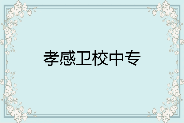孝感卫校中专