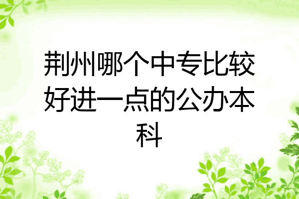 荆州哪个中专比较好进一点的公办本科