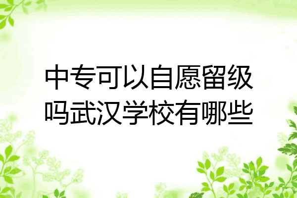 中专可以自愿留级吗武汉学校有哪些