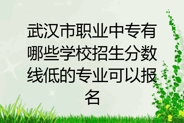 武汉市职业中专有哪些学校招生分数线低的专业可以报名