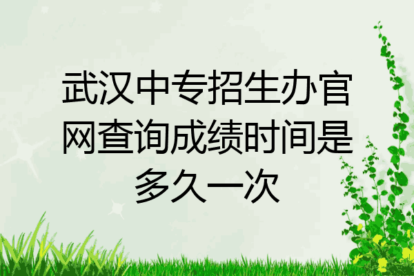 武汉中专招生办官网查询成绩时间是多久一次