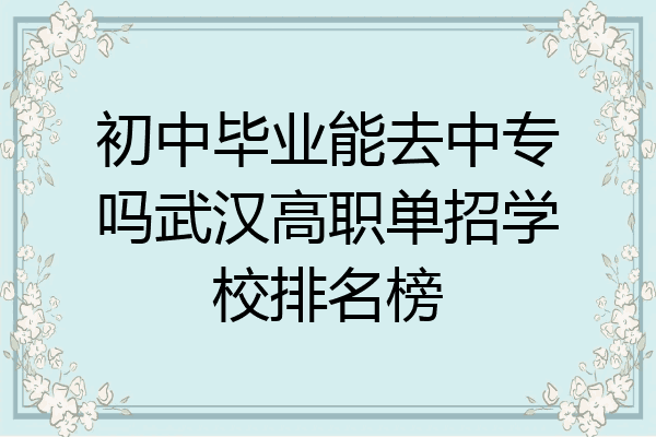 初中毕业能去中专吗武汉高职单招学校排名榜