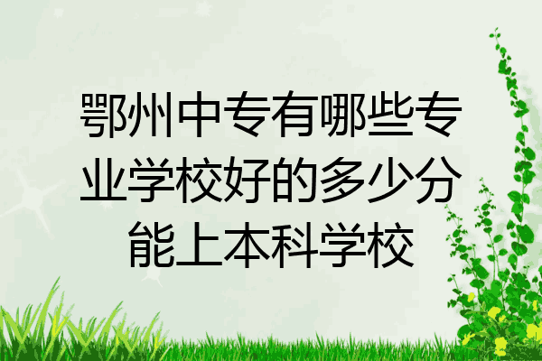 鄂州中专有哪些专业学校好的多少分能上本科学校