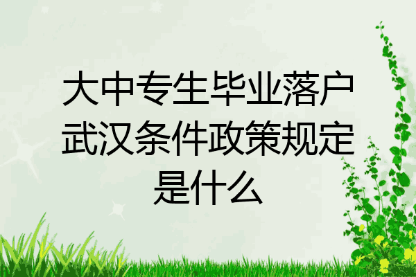 大中专生毕业落户武汉条件政策规定是什么