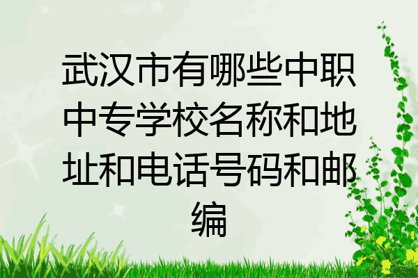 武汉市有哪些中职中专学校名称和地址和电话号码和邮编