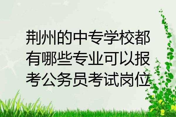 荆州的中专学校都有哪些专业可以报考公务员考试岗位