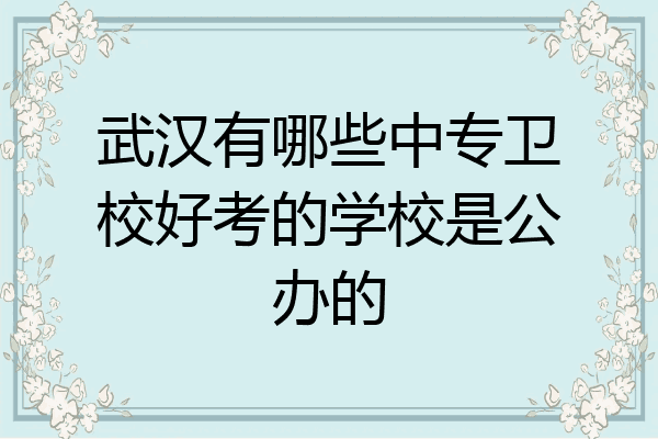 武汉有哪些中专卫校好考的学校是公办的