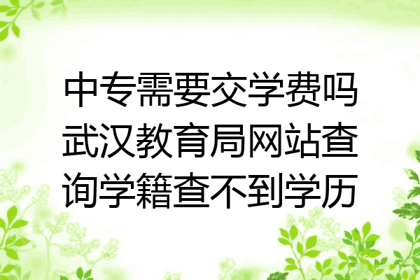中专需要交学费吗武汉教育局网站查询学籍查不到学历