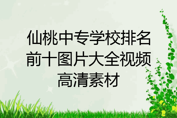 仙桃中专学校排名前十图片大全视频高清素材