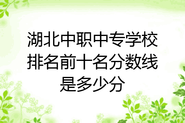 湖北中职中专学校排名前十名分数线是多少分