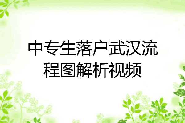中专生落户武汉流程图解析视频