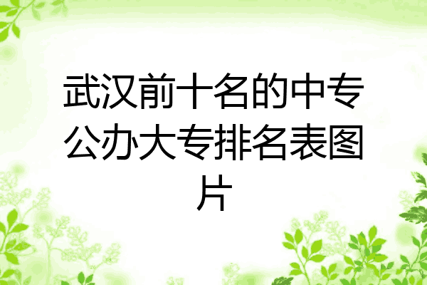 武汉前十名的中专公办大专排名表图片