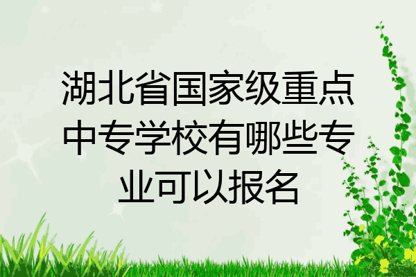 湖北省国家级重点中专学校有哪些专业可以报名