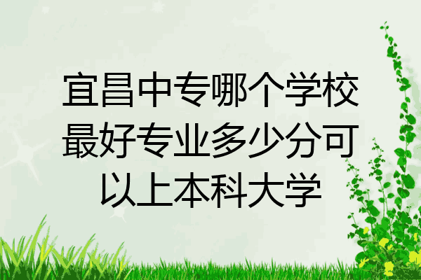 宜昌中专哪个学校最好专业多少分可以上本科大学
