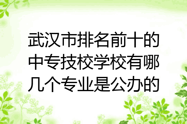 武汉市排名前十的中专技校学校有哪几个专业是公办的