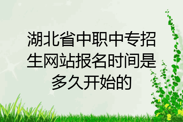 湖北省中职中专招生网站报名时间是多久开始的