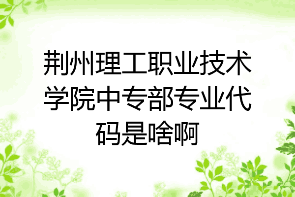 荆州理工职业技术学院中专部专业代码是啥啊