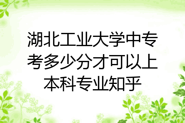 湖北工业大学中专考多少分才可以上本科专业知乎