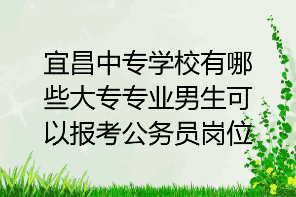 宜昌中专学校有哪些大专专业男生可以报考公务员岗位