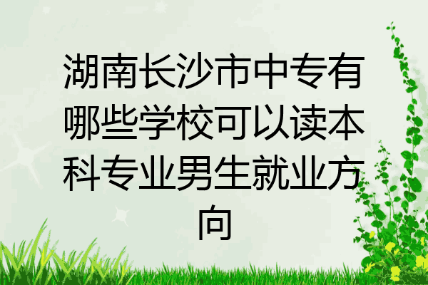 湖南长沙市中专有哪些学校可以读本科专业男生就业方向