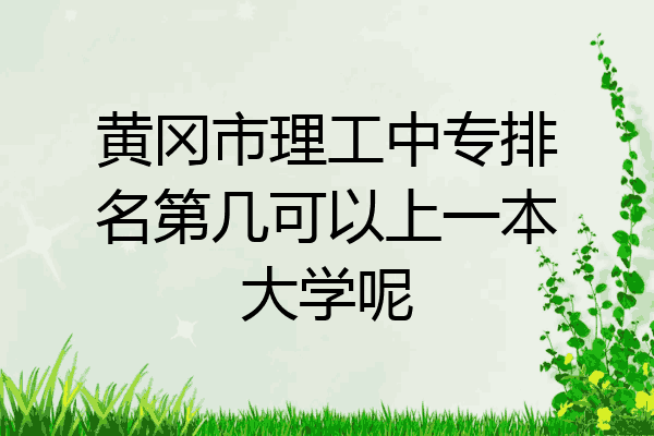 黄冈市理工中专排名第几可以上一本大学呢
