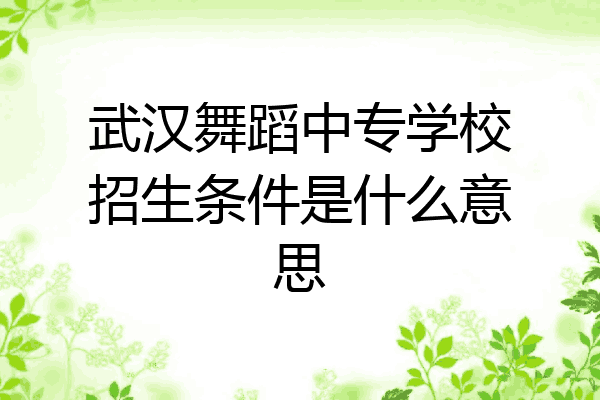 武汉舞蹈中专学校招生条件是什么意思