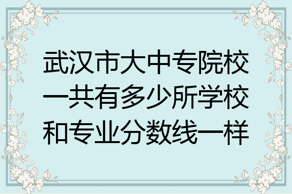 武汉市大中专院校一共有多少所学校和专业分数线一样