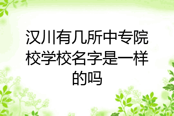 汉川有几所中专院校学校名字是一样的吗