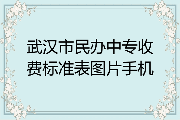武汉市民办中专收费标准表图片手机