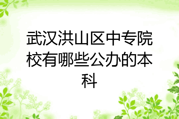 武汉洪山区中专院校有哪些公办的本科