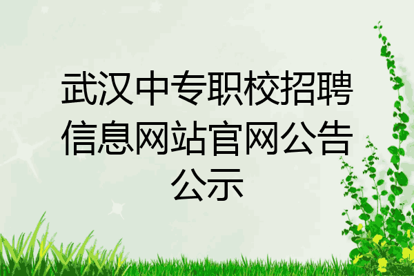 武汉中专职校招聘信息网站官网公告公示