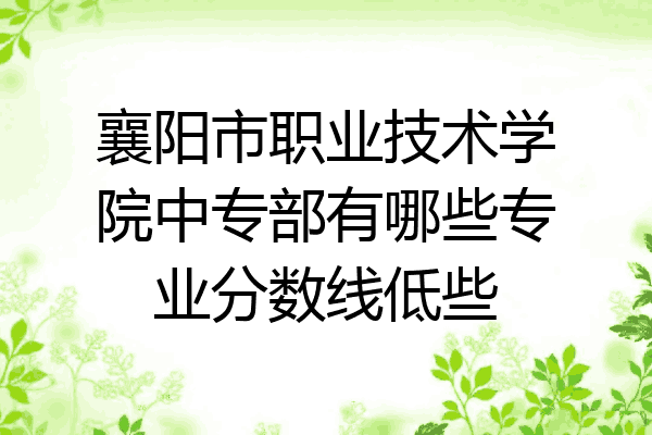 襄阳市职业技术学院中专部有哪些专业分数线低些