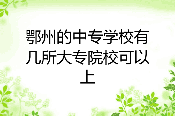 鄂州的中专学校有几所大专院校可以上